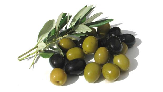 ZEYTİN KG