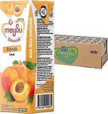 MEYSU DİNAMİK KAYISI MEYVE SUYU 200 ML 27 `Lİ