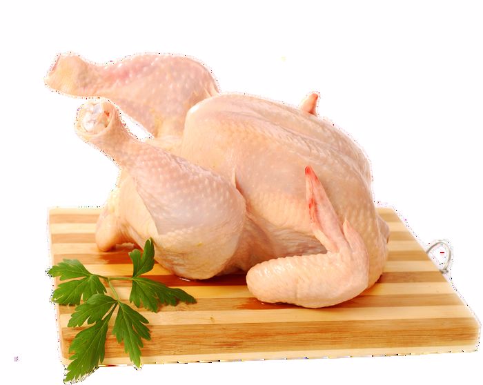 TAVUK%20BÜTÜN%20KG